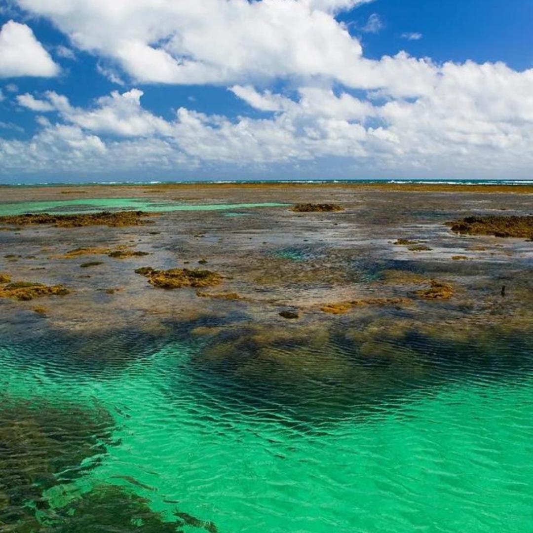 Pousada Solar Dos Carneiros Praia dos Carneiros Exteriér fotografie